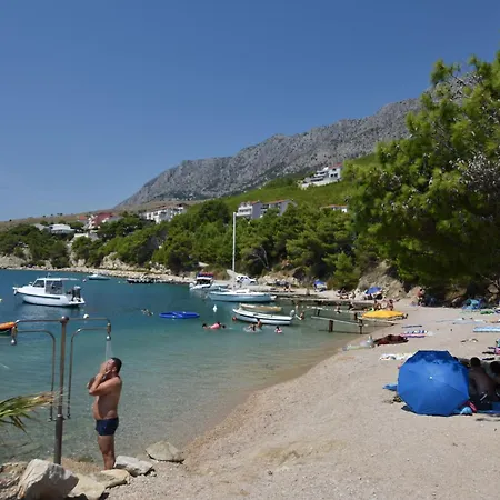 House Pine Tree * לוקבה