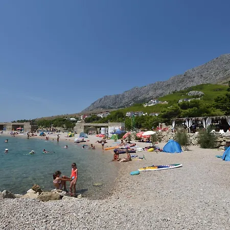 House Pine Tree בית נופש