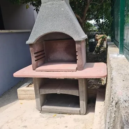 House Pine Tree *