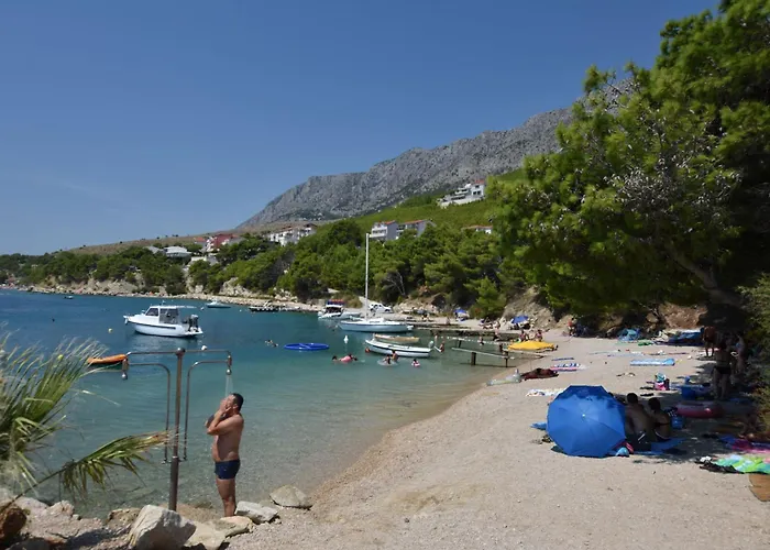 House Pine Tree * Lokva Rogoznica