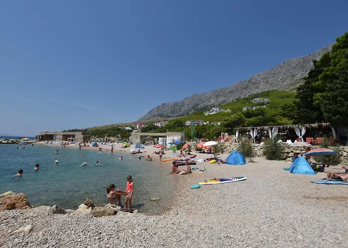 House Pine Tree Semesterbostad